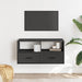 Dulap TV, negru, 80x31x39,5 cm, lemn prelucrat și metal - WALTI WALTI