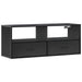 Dulap TV, negru, 100x31x39,5 cm, lemn prelucrat și metal - WALTI WALTI