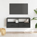 Dulap TV, negru, 100x31x39,5 cm, lemn prelucrat și metal - WALTI WALTI