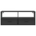 Dulap TV, negru, 100x31x39,5 cm, lemn prelucrat și metal - WALTI WALTI