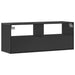 Dulap TV, negru, 100x31x39,5 cm, lemn prelucrat și metal - WALTI WALTI