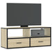 Dulap TV stejar sonoma, 100x31x39,5 cm, lemn prelucrat și metal - WALTI WALTI