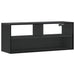 Dulap TV, negru, 100x31x39,5 cm, lemn prelucrat și metal - WALTI WALTI
