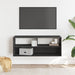 Dulap TV, negru, 100x31x39,5 cm, lemn prelucrat și metal - WALTI WALTI