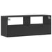 Dulap TV, negru, 100x31x39,5 cm, lemn prelucrat și metal - WALTI WALTI