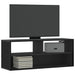 Dulap TV, negru, 100x31x39,5 cm, lemn prelucrat și metal - WALTI WALTI