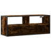 Dulap TV stejar fumuriu 100x31x39,5 cm, lemn prelucrat și metal - WALTI WALTI