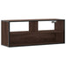 Dulap TV, stejar maro, 100x31x39,5 cm, lemn prelucrat și metal - WALTI WALTI