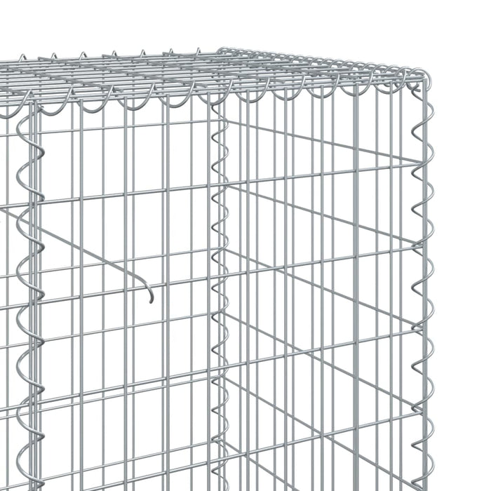 Coș gabion cu capac, 200x50x100 cm, fier galvanizat - WALTI WALTI