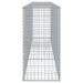 Coș gabion cu capac, 300x50x100 cm, fier galvanizat - WALTI WALTI