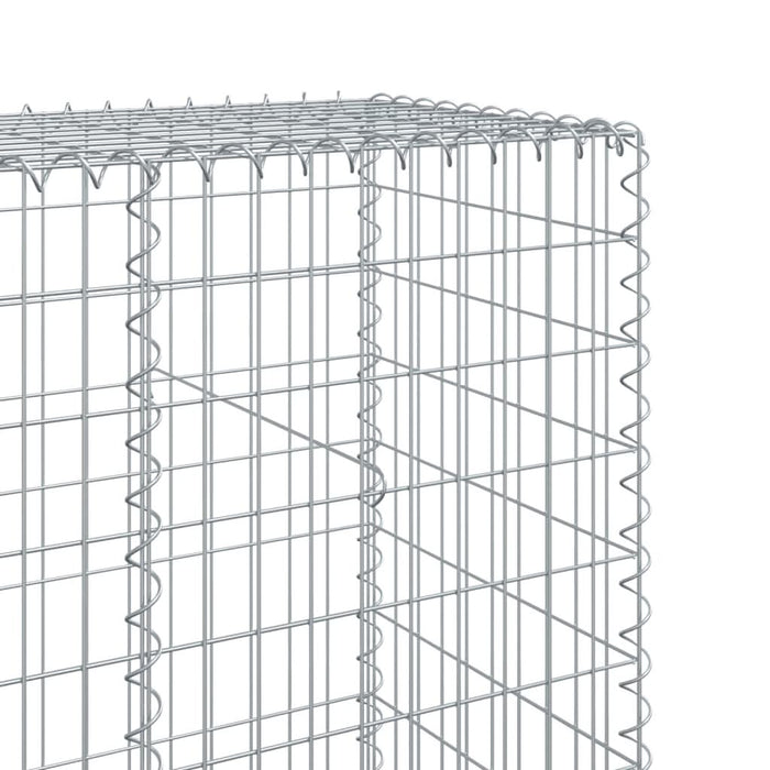 Coș gabion cu capac, 300x50x200 cm, fier galvanizat - WALTI WALTI