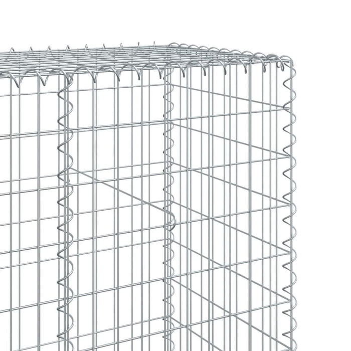 Coș gabion cu capac, argintiu, 900x50x200 cm, fier galvanizat - WALTI WALTI