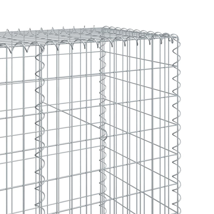 Coș gabion cu capac, 1000x50x200 cm, fier galvanizat - WALTI WALTI