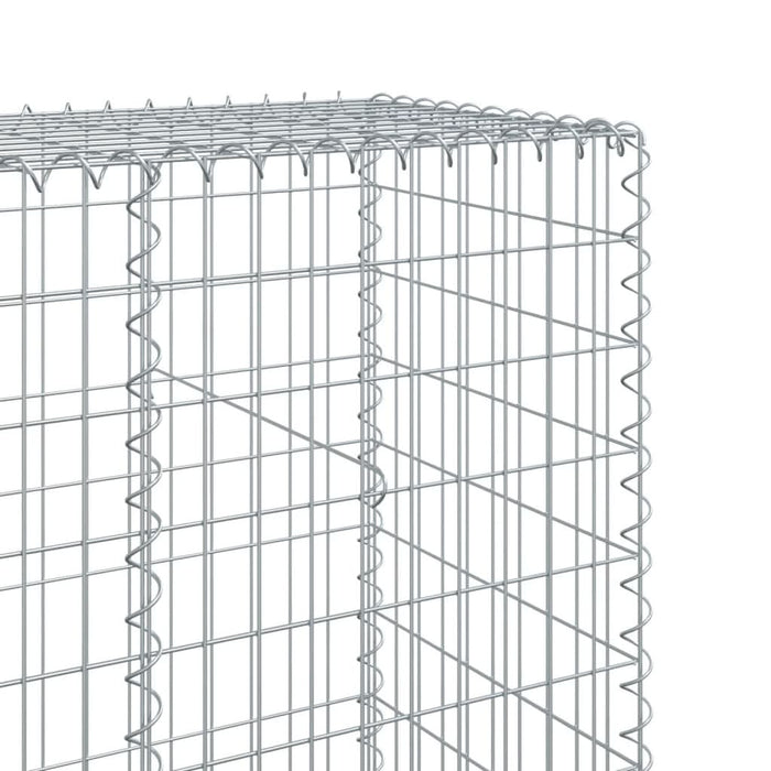 Coș gabion cu capac, 1200x50x200 cm, fier galvanizat - WALTI WALTI