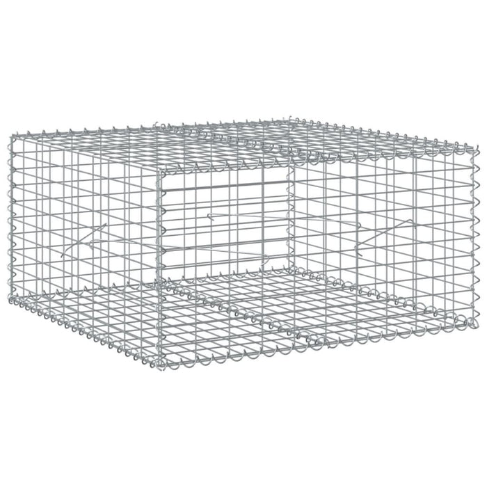 Coș gabion cu capac, 100x100x50 cm, fier galvanizat - WALTI WALTI