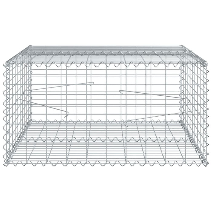 Coș gabion cu capac, 100x100x50 cm, fier galvanizat - WALTI WALTI