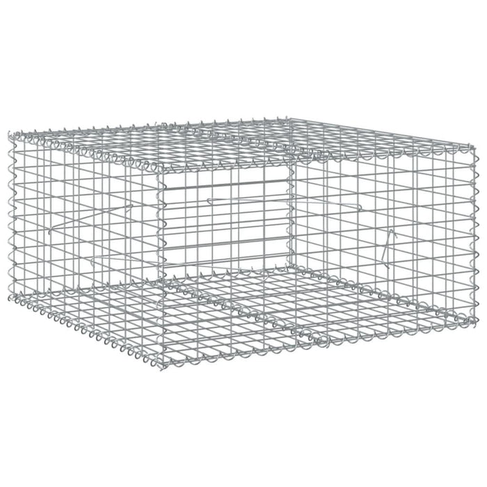 Coș gabion cu capac, 100x100x50 cm, fier galvanizat - WALTI WALTI