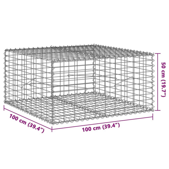 Coș gabion cu capac, 100x100x50 cm, fier galvanizat - WALTI WALTI
