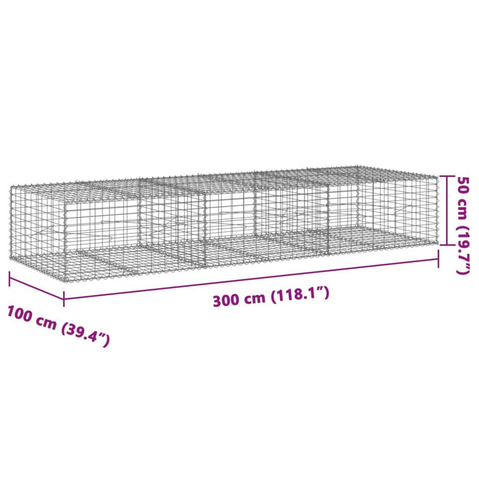 Coș gabion cu capac, 300x100x50 cm, fier galvanizat - WALTI WALTI