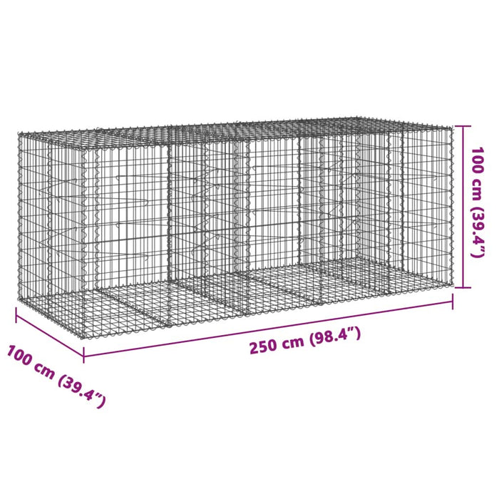 Coș gabion cu capac, 250x100x100 cm, fier galvanizat - WALTI WALTI