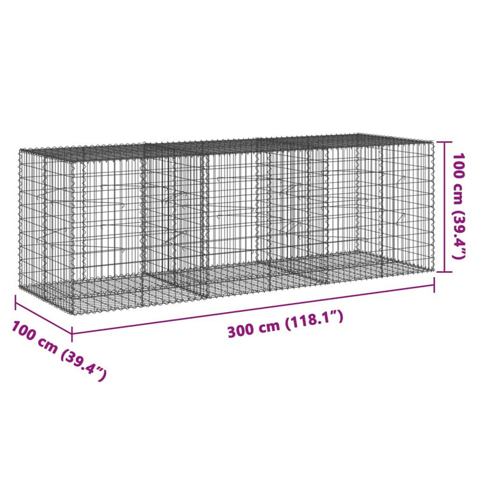 Coș gabion cu capac, 300x100x100 cm, fier galvanizat - WALTI WALTI