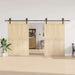 Set feronerie pentru uși glisante, negru, 400 cm, oțel - WALTI WALTI