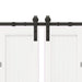 Set feronerie pentru uși glisante, negru, 366 cm, oțel - WALTI WALTI