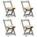 Set mobilier tip fluture Corona, pliabil 5 piese gri lemn pin - WALTI WALTI