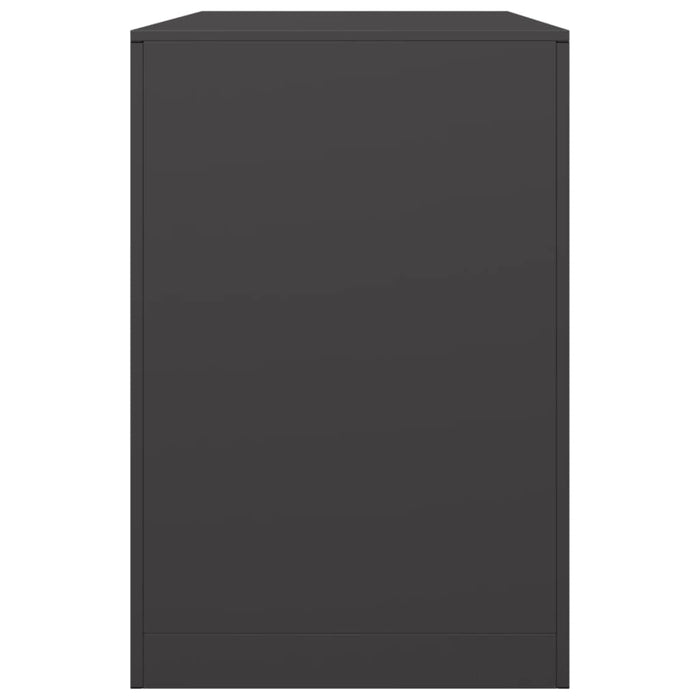 Rastel pentru lemne de foc, negru, 100x40x60 cm, oțel - WALTI WALTI