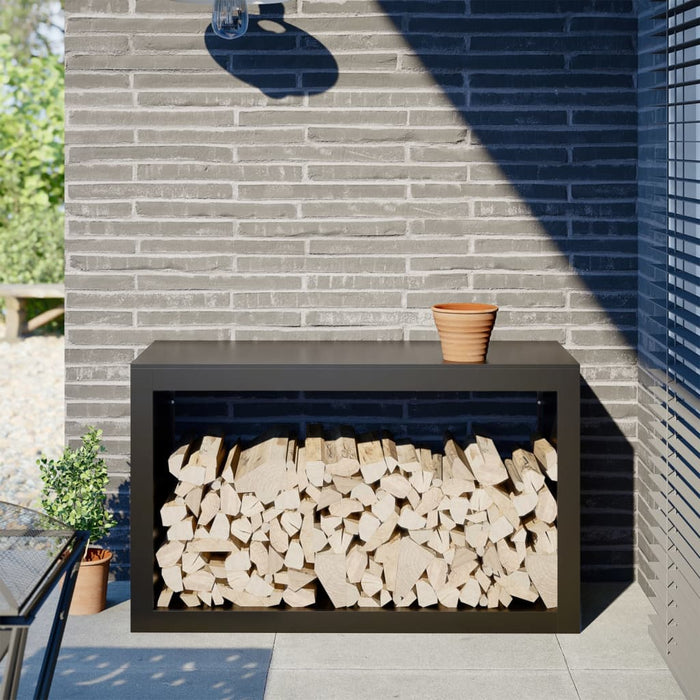 Rastel pentru lemne de foc, negru, 100x40x60 cm, oțel - WALTI WALTI