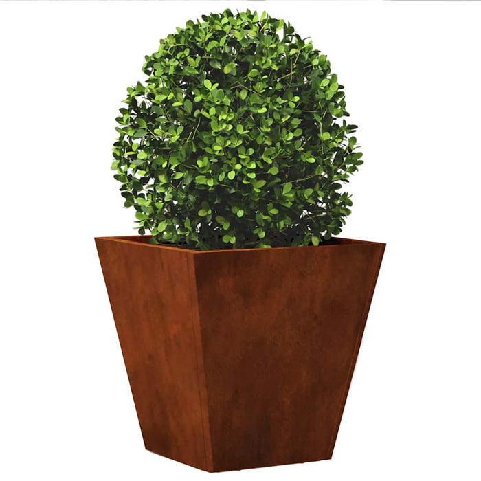 Jardiniere de grădină 2 buc 30x30x30 cm Oțel pentru intemperii - WALTI WALTI