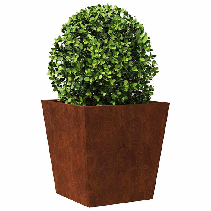 Jardiniere de grădină 2 buc 40x40x40 cm Oțel pentru intemperii WALTI