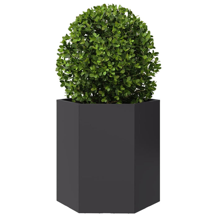 Jardinieră de grădină negru 46x40x45 cm oțel hexagonal - WALTI WALTI