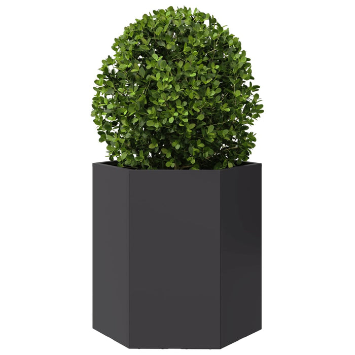 Jardiniere de grădină, 2 buc. negru 46x40x45 cm oțel hexagonală WALTI