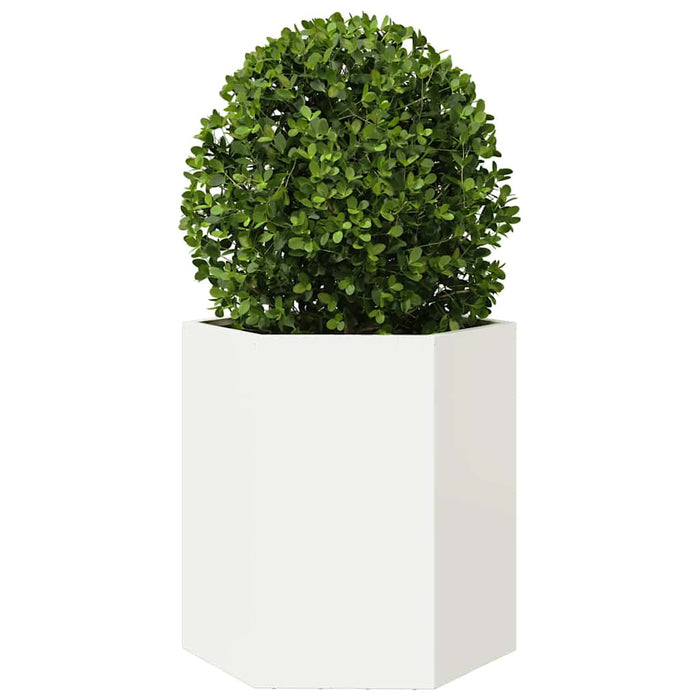 Jardiniere de grădină, 2 buc. alb 46x40x45 cm oțel hexagonală WALTI