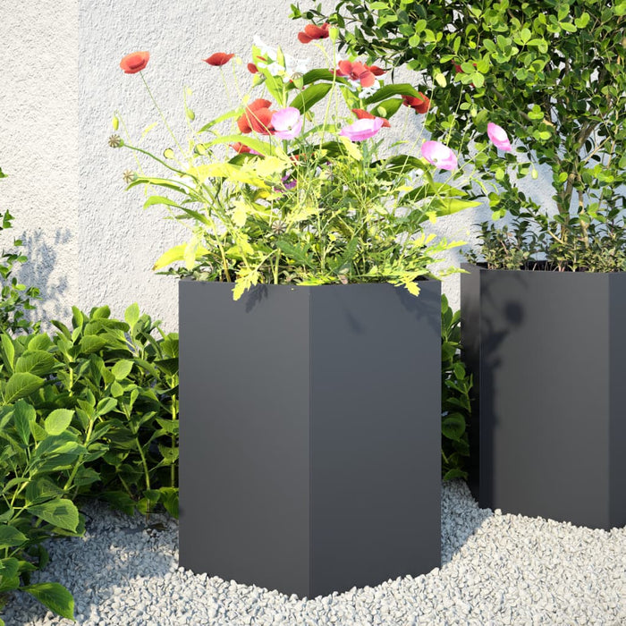 Jardiniere grădină, 2 buc. antracit 46x40x45 cm oțel hexagonală WALTI
