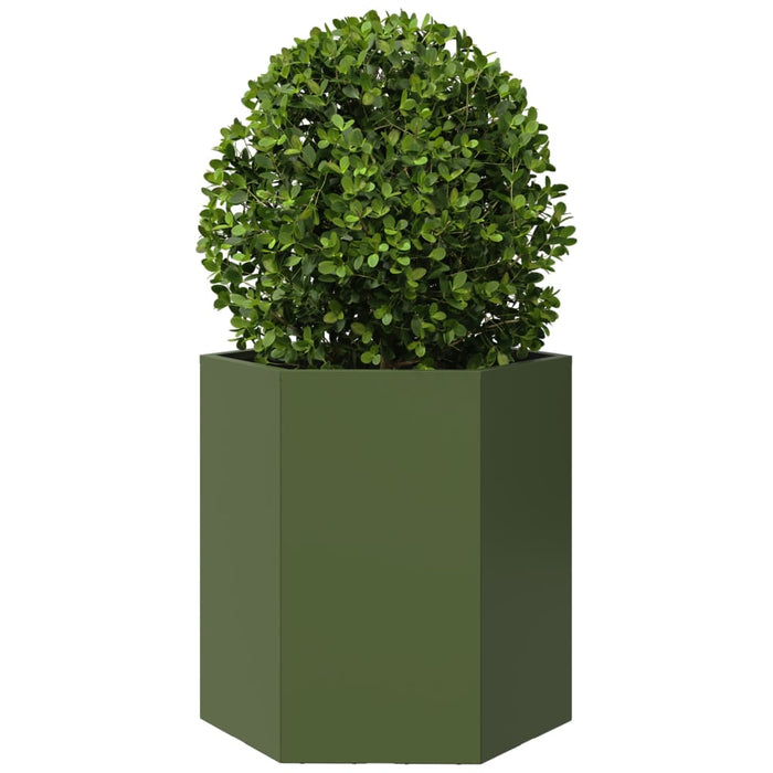 Jardiniere grădină 2 buc. verde 46x40x45 cm oțel hexagonală - WALTI WALTI