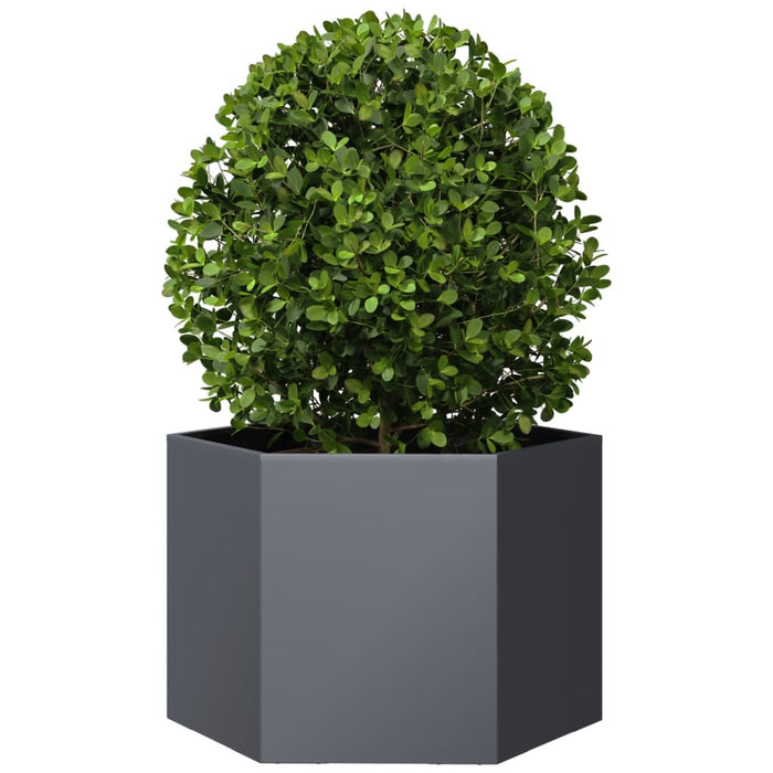 Jardinieră de grădină antracit 69x60x45 cm oțel hexagonal - WALTI WALTI