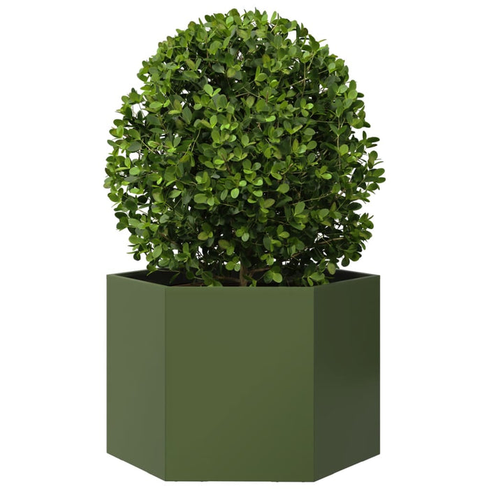 Jardinieră grădină verde măsliniu 69x60x45 cm oțel hexagonal - WALTI WALTI