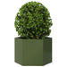 Jardinieră grădină verde măsliniu 69x60x45 cm oțel hexagonal - WALTI WALTI