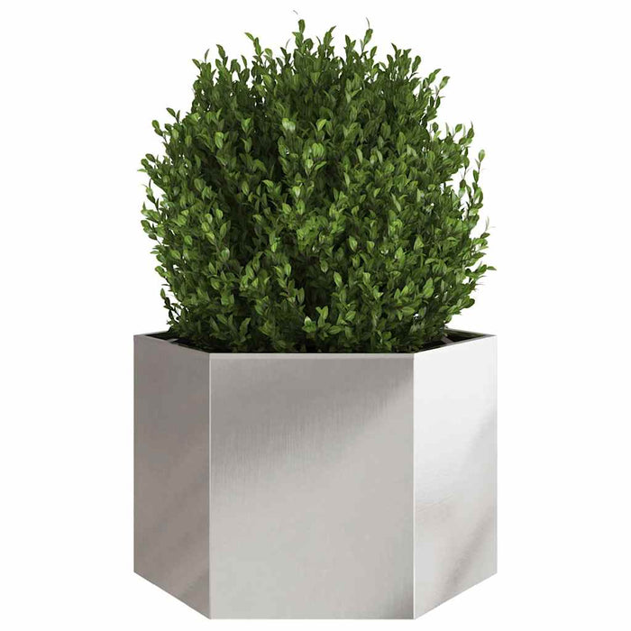 Jardinieră de grădină 69x60x45 cm oțel inoxidabil hexagonal - WALTI WALTI