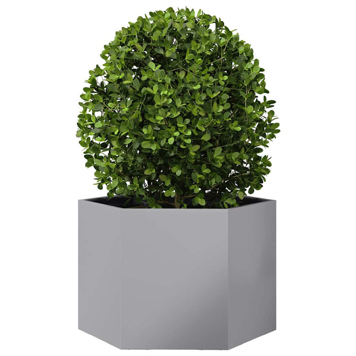 Jardinieră de grădină 69x60x45 cm oțel galvanizat hexagonal - WALTI WALTI