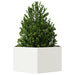 Jardinieră de grădină alb 104x90x45 cm oțel hexagonal - WALTI WALTI