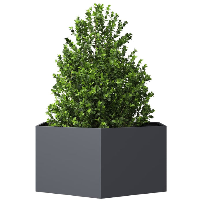 Jardinieră de grădină antracit 104x90x45 cm oțel hexagonal - WALTI WALTI