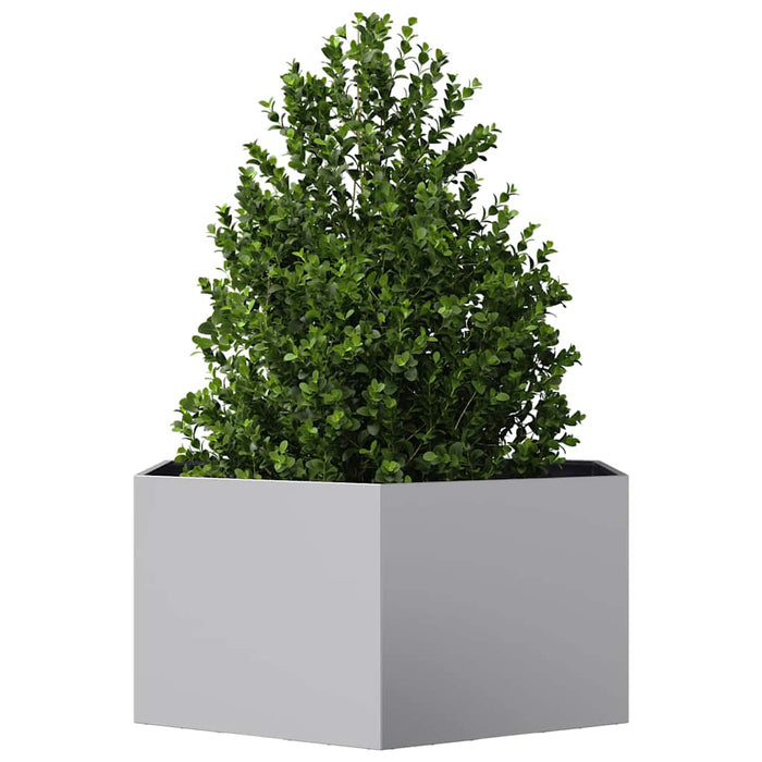 Jardinieră de grădină 104x90x45 cm oțel galvanizat hexagonal - WALTI WALTI