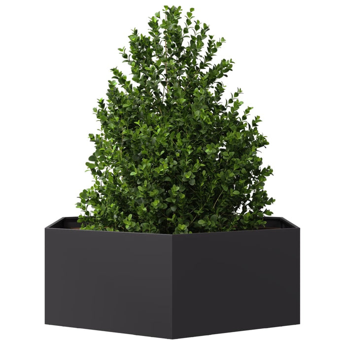 Jardinieră de grădină negru 138x120x45 cm oțel hexagonal - WALTI WALTI