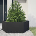 Jardinieră de grădină negru 138x120x45 cm oțel hexagonal - WALTI WALTI