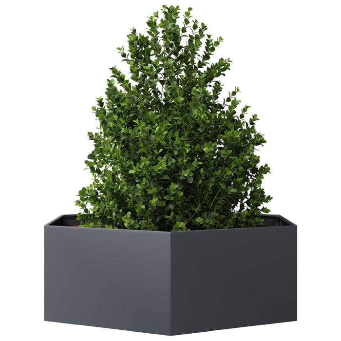 Jardinieră de grădină antracit 138x120x45 cm oțel hexagonal - WALTI WALTI