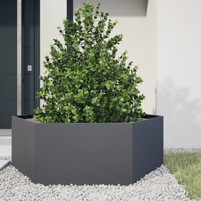 Jardinieră de grădină antracit 138x120x45 cm oțel hexagonal - WALTI WALTI