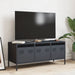 Dulap TV, antracit, 101,5x39x43,5 cm, oțel laminat la rece - WALTI WALTI